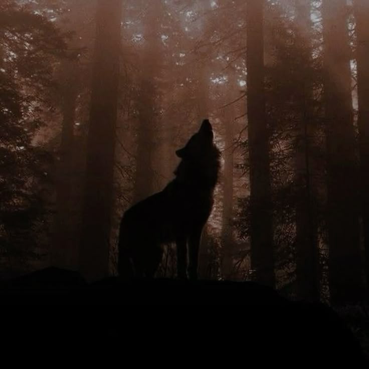 Werewolves